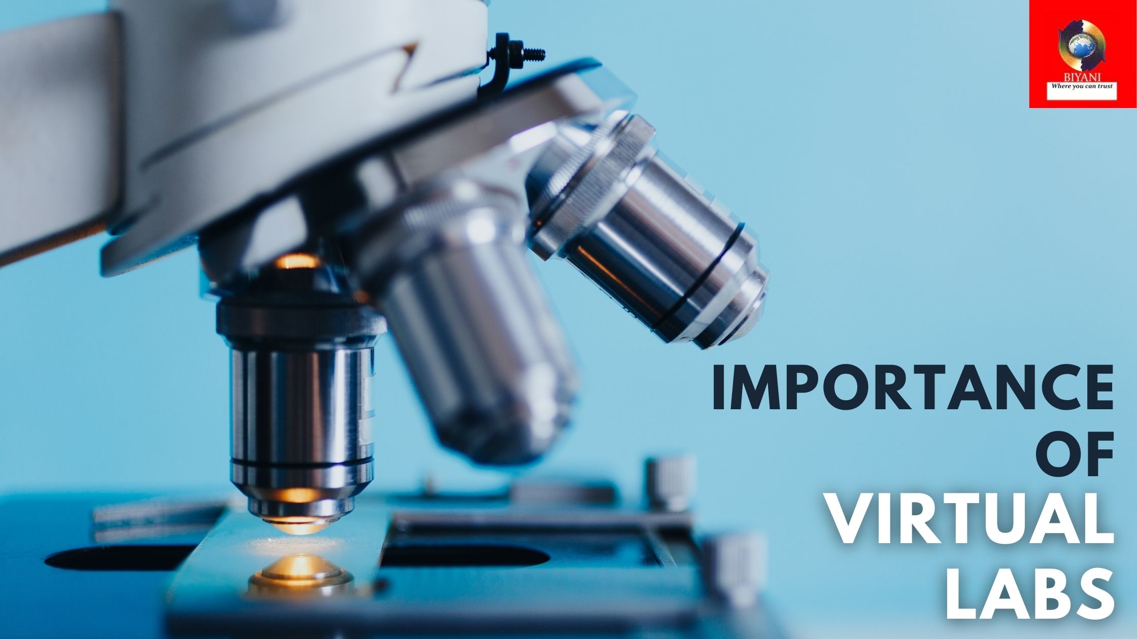 virtual labs'