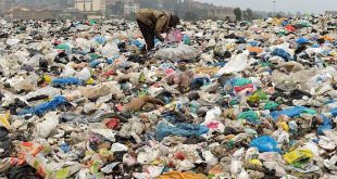 Single Use Plastic Ban: 1 जुलाई से बैन हो रहे हैं ये 19 आइटम्स, बनाने या बेचने पर 7 साल कैद